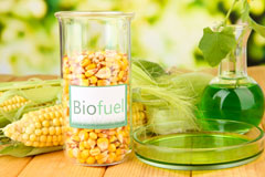 Blaenllechau biofuel availability